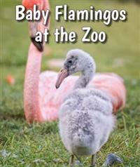 Bokomslag för "Baby Flamingos at the Zoo"