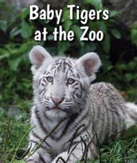 Baby Tigers at the Zoo