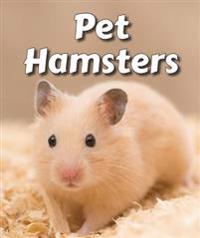 Pet Hamsters