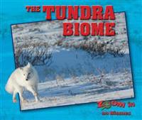 The Tundra Biome