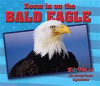 Zoom in on the Bald Eagle