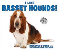 I Like Basset Hounds!
