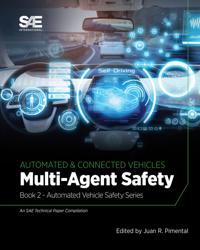Multi-Agent Safety