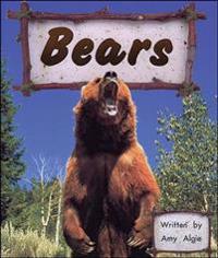 Bears (4)