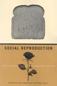 Bokomslag för "Social Reproduction"
