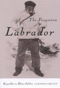 The Forgotten Labrador