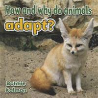 How and Why Do Animals Adapt