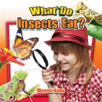 What Do Insects Eat?