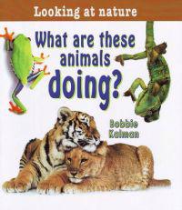 What Are These Animals Doing?