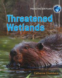 Threatened Wetlands