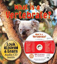 What is a Vertebrate?