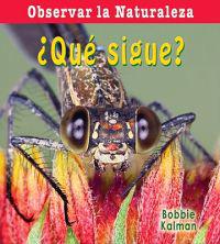 Que sigue?/ What's Next?
