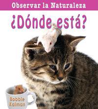 Donde esta?/ Where Is It?
