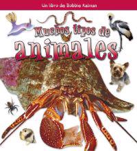 Muchos Tipos de Animales / Many Kinds of Animals