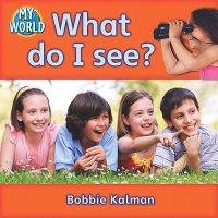 What do I see?