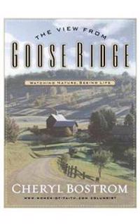 The View from Goose Ridge