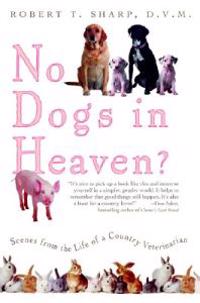 No Dogs In Heaven?