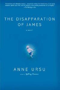 Bokomslag för "The Disapparation of James"