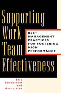 Supporting Work Team Effectiveness