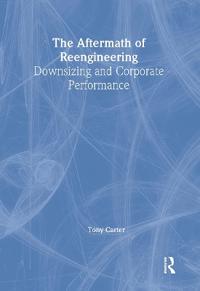 The Aftermath of Reengineering