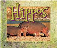 Hippos (Level 9)
