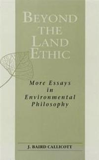 Beyond the Land Ethic