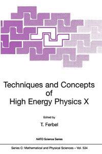 Techniques and Concepts of High Energy Physics X