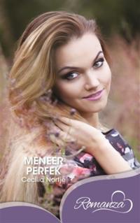 Meneer perfek