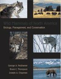 Wild Mammals of North America