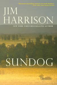 Sundog