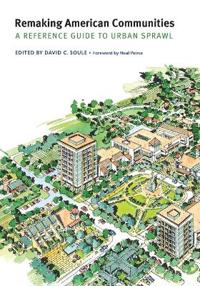 Remaking American Communities