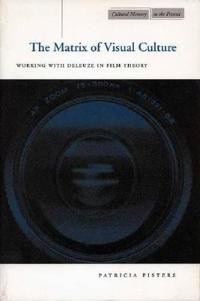 The Matrix of Visual Culture