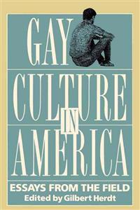 Gay Culture in America