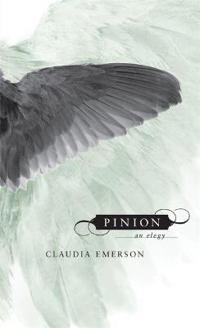 Pinion