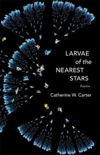 Larvae of the Nearest Stars