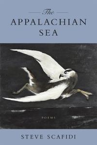 The Appalachian Sea
