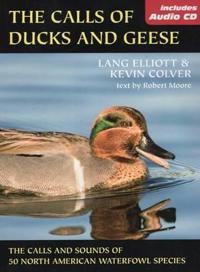 Calls of Duck and Geese