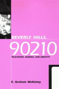 Feminist Cultural Studies, the Media, and Political Culture
