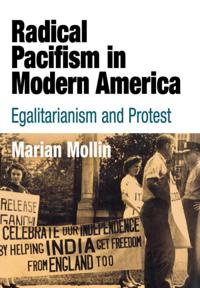 Politics and Culture in Modern America
