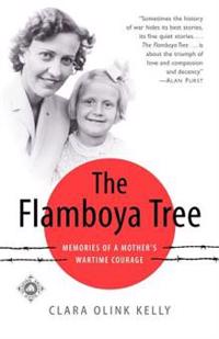 The Flamboya Tree