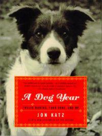 A Dog Year