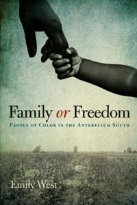 New Directions in Southern History