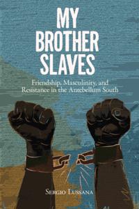 New Directions in Southern History