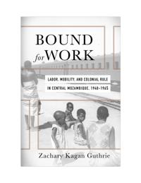 Reconsiderations in Southern African History