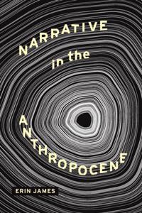 THEORY INTERPRETATION NARRATIV