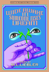 Wide Awake in Someone Else's Dream