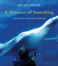 Shimmer of Something