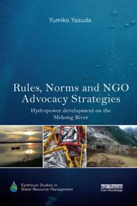 Kirjan kansi "Rules, Norms and NGO Advocacy Strategies"