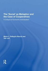 The 'Social' as Metaphor and the Case of Cooperatives