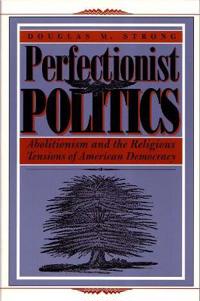 Perfectionist Politics